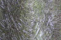 Wildmanbridge fibreglass roof work